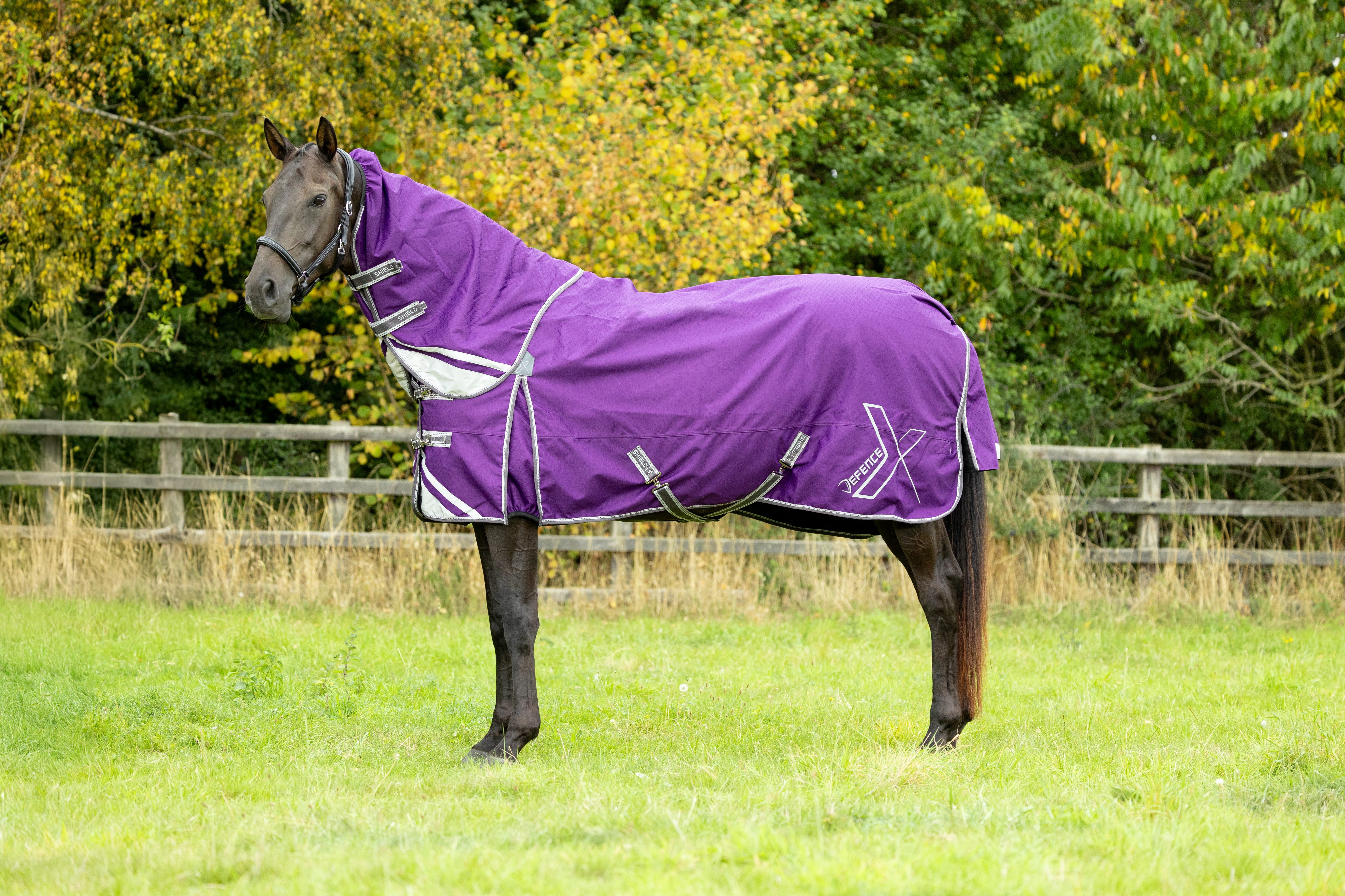 DefenceX Shield 0g Turnout Rug with Detachable Neck image 2